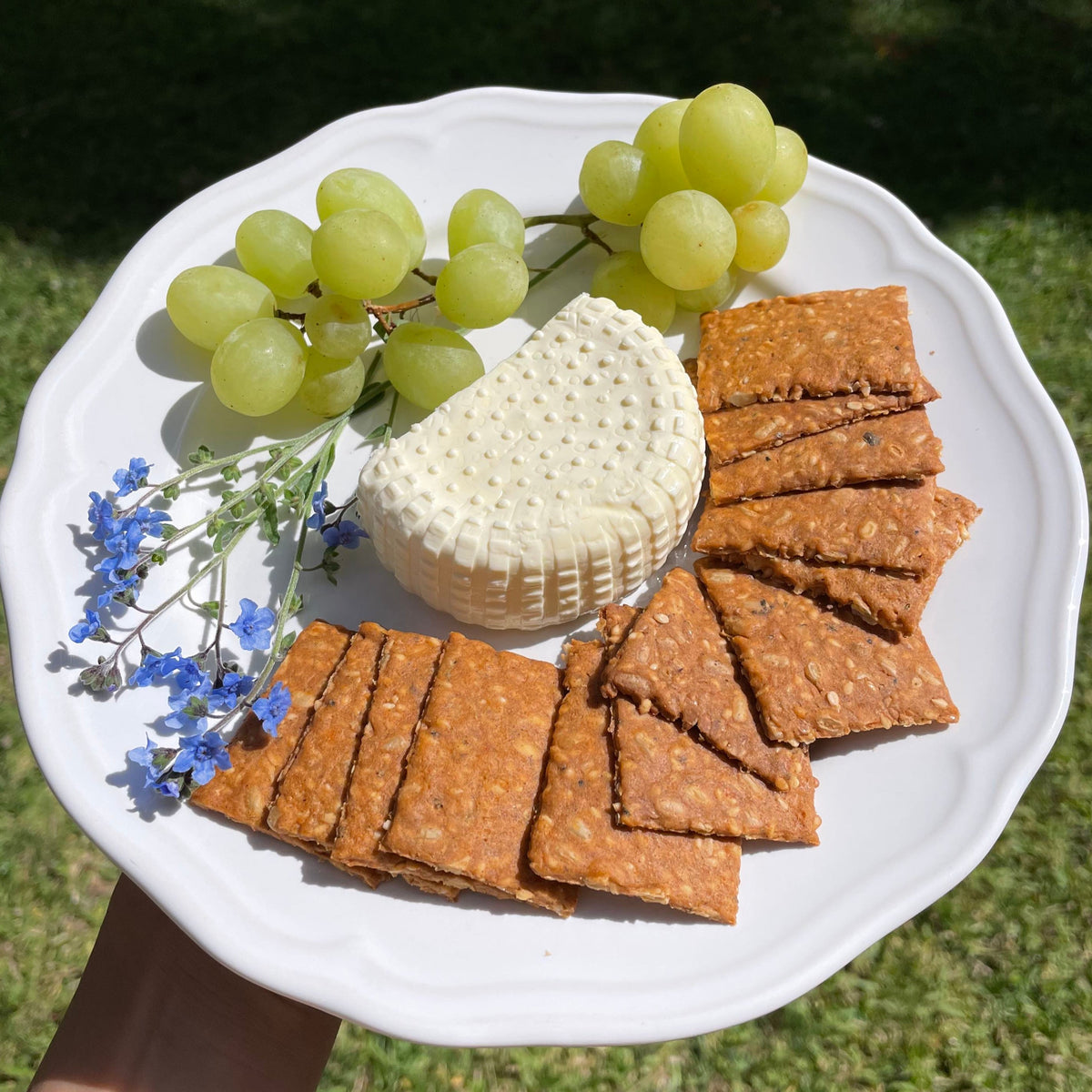Plate of Smoked Paprika crackers with green grapes, a round of fresh white cheese and small blue flowers